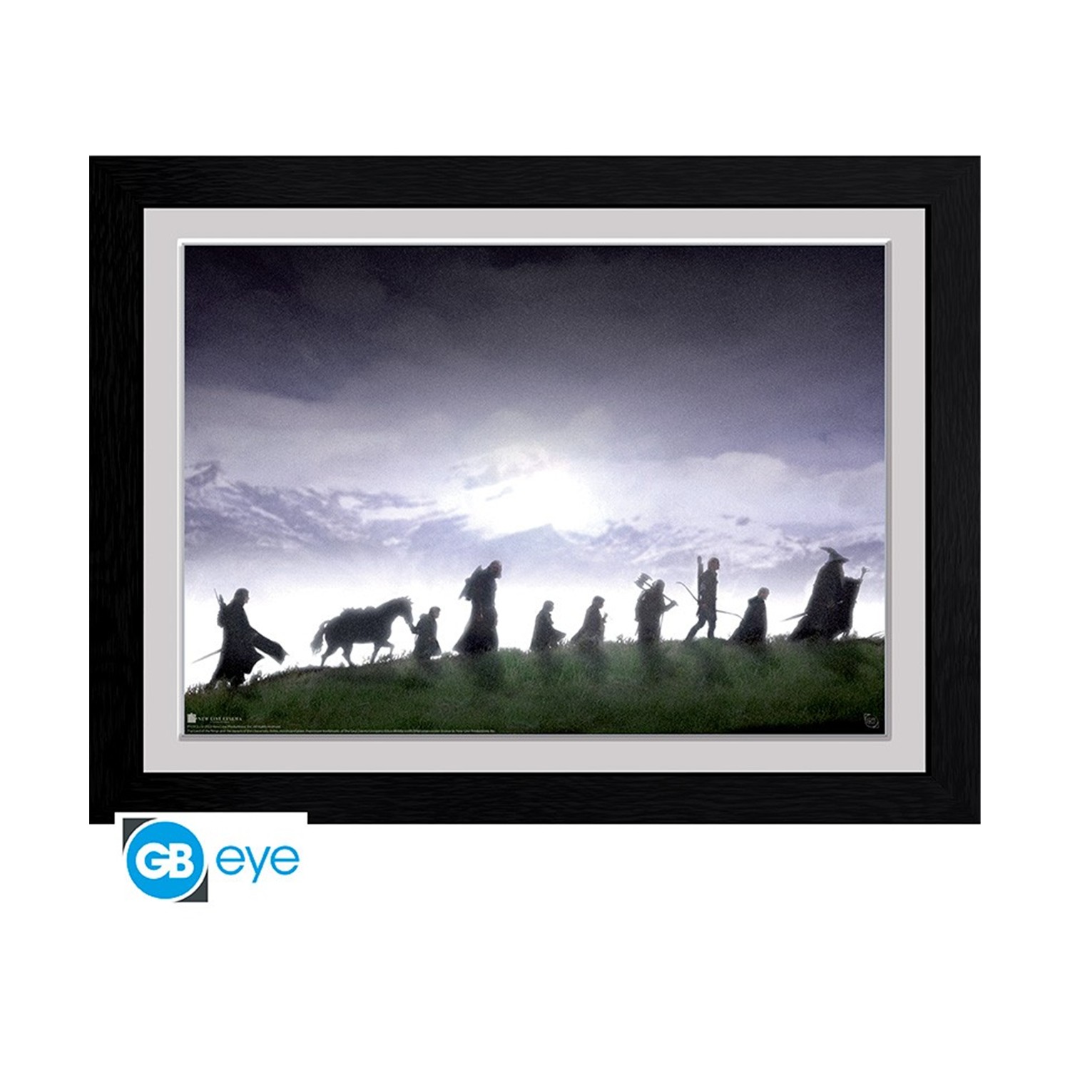 Abysse: The Lord Of The Rings - Fellowship Framed Print (30x40cm) (PFC972)