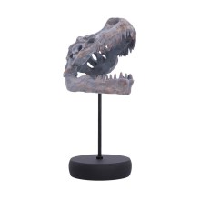 Nemesis Now: Tyrannosaurus Rex Skull on Plinth (D7553B26)