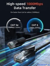 CT-CAT6U-PB10-1