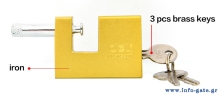 DL508307-1