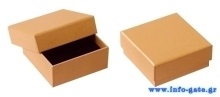 PAS489-3