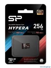 SP256GBSTEI31V10-4