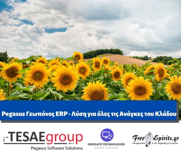 Pegasus &Gamma;&epsilon;&omega;&pi;ό&nu;&omicron;&sigmaf; ERP - H &Lambda;ύ&sigma;&eta; &Gamma;&iota;&alpha; Ό&lambda;&epsilon;&sigmaf; &Tau;&iota;&sigmaf; &Alpha;&nu;ά&gamma;&kappa;&epsilon;&sigmaf; &tau;&omicron;&upsilon; &Kappa;&lambda;ά&delta;&omicron;&upsilon;