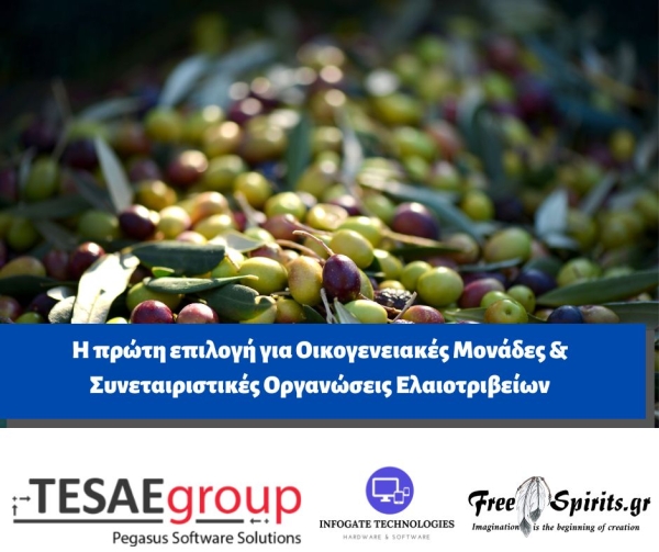 Pegasus &Epsilon;&lambda;&alpha;&iota;&omicron;&tau;&rho;&iota;&beta;&epsilon;ί&omicron; ERP Start Up